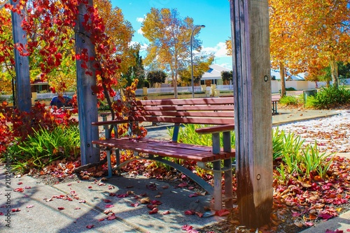 bench in the park