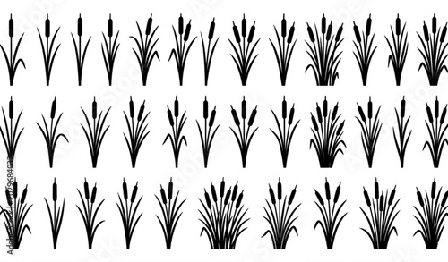 Konstfotografi Black cattail reed illustration collection with swamp grass silhouette vector de