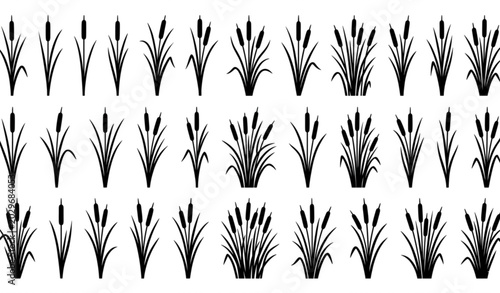 Tableau sur toile Minimal cattail swamp grass icon set with black reed silhouette vector illustrat