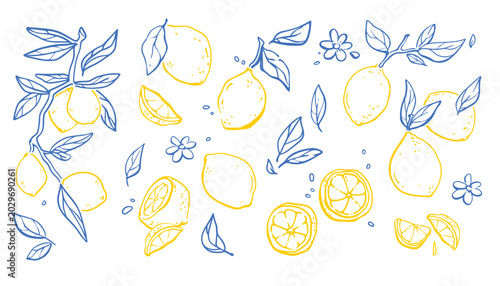 Vintage sketch pattern with yellow lemons, summer vector set isolated on white background. Italian amalfi design elements, blue doodle citrus plant with leaves and fruits for mediterranean design