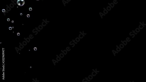 soap bubbles wave trail isolated alpha channel animation, foam bubbles random motion on transparent,cosmetics and beauty design element