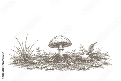Tableau sur toile Charming hand drawn line art style vector illustration of a wild mushroom growin