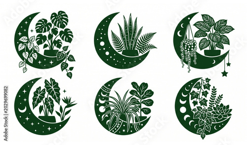 Moon Pot Botanical Silhouette SVG Set