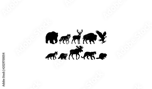 Photos USA wildlife animal vector set with grizzly wolf deer and American forest animal