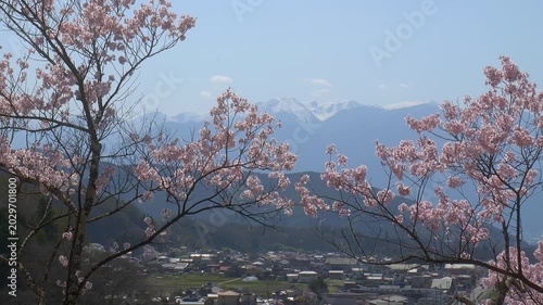 長野 高遠城址公園から望む中央アルプス