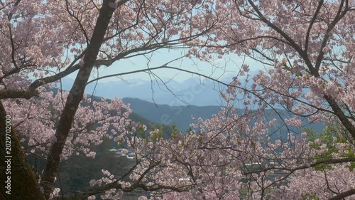 長野 高遠城址公園から望む中央アルプス