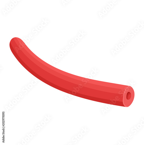 Fotografía Red Pool Noodle Foam Tube Illustration Isolated on White Background