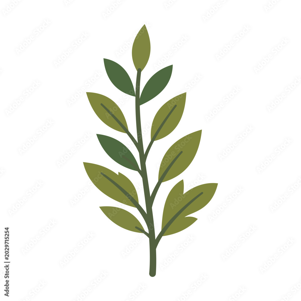 Fototapeta premium Single vertical green plant branch stem with pinnate leaflet structures.