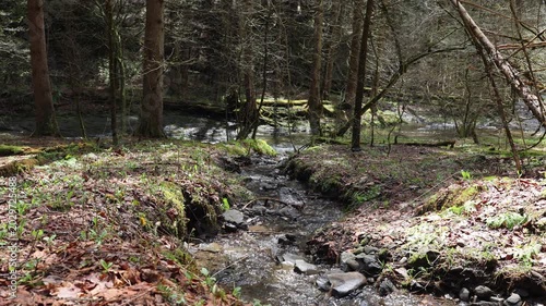 Water flowing down a small stream about to meet its confluence with a creek