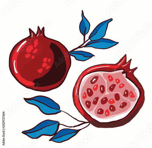 pomegranate fruit isolated on white background