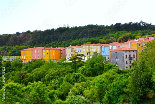 Foto Colorful buildings with a forest bellow in the town of Labin in Istria, Croatia