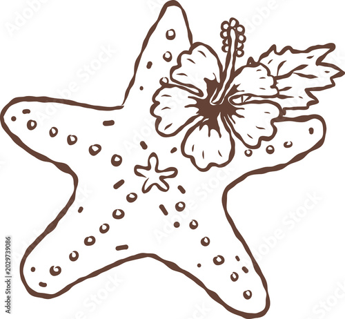 Photos Coquette starfish with hibiscus flower hand drawn line art