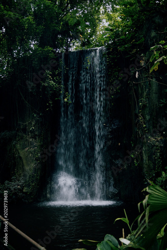 waterfall in the jungle