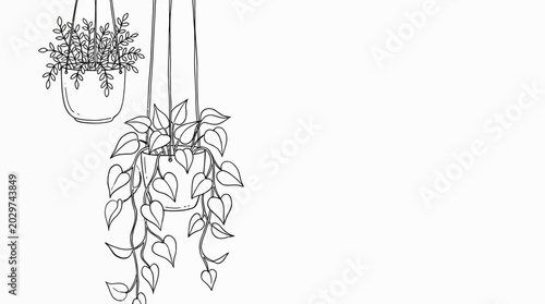 Minimalist line art drawing of hanging house plants with copy space