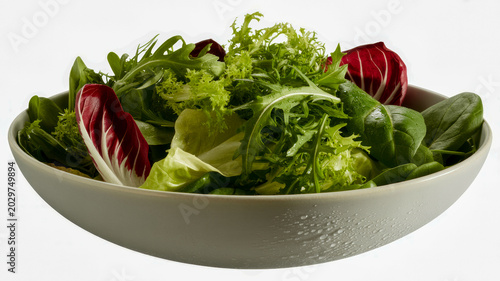 Fresh garden salad served in a ceramic bowl featuring mixed green lettuce leaves and red radicchio for healthy eating