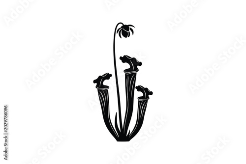 Sarracenia Pitcher Plant With Flower Black and White Botanical Silhouette Artwork