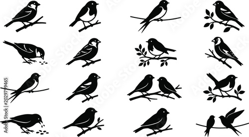 Tableau sur toile Eighteen Black Perching Songbird Silhouettes Featuring Sparrows Robins and Small