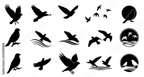 Fotografi Set of black bird silhouettes in various flight positions and perching poses for