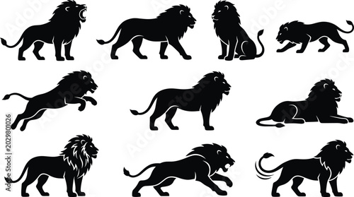 Photos Ten Black Male Lion Silhouettes Displaying Roaring Walking Sitting Leaping Resti