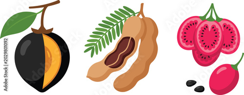 Tropical Exotic Fruit Vector Set Featuring Black Sapote Tamarind and Tamarillo Illustrations for Healthy Food Menus Organic Product Packaging and Botanical Education Designs