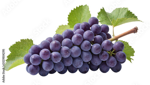 Foto Cluster of ripe purple grapes with green leaves, isolated on transparent backgro