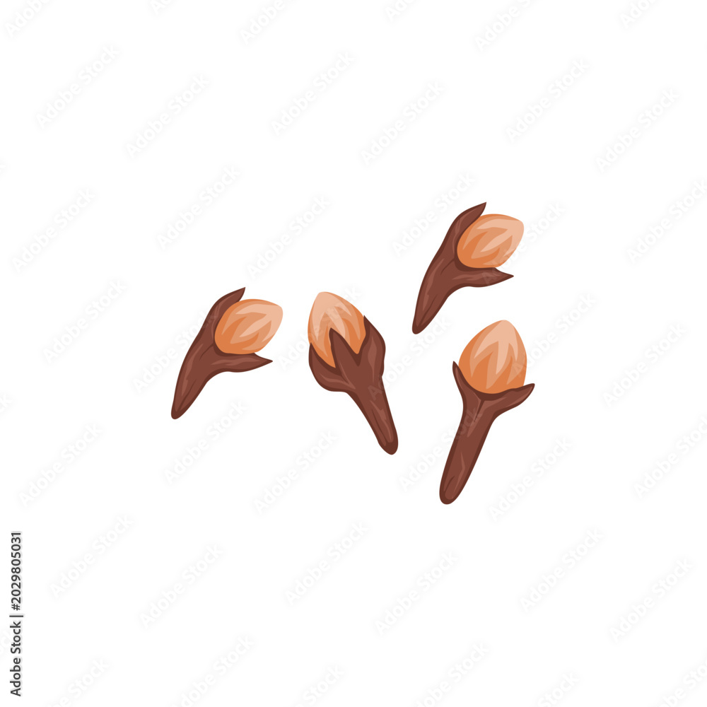Obraz premium Clove Herb Spice Illustration 