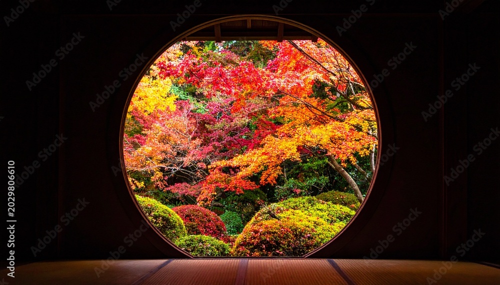 Naklejka premium 暗い寺院の窓から覗く色鮮やかに輝く京都の紅葉の風景