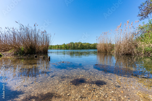 Blick auf den Waldsee Lauer in Leipzig, Deutschland