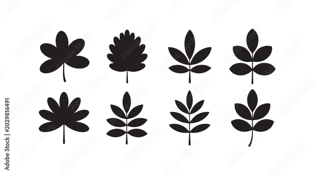 Obraz premium Set of stylized black leaf icons vector silhouette on transparent background nature symbols.