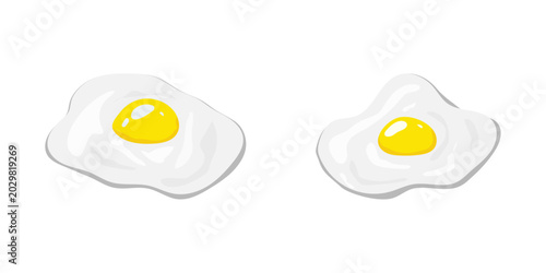 fried egg on white background