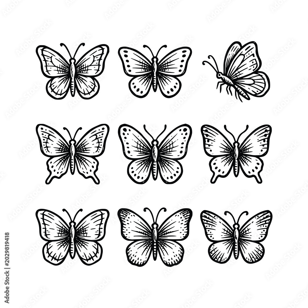 Fototapeta premium Butterfly Collection Hand Drawn Vintage Vector Set