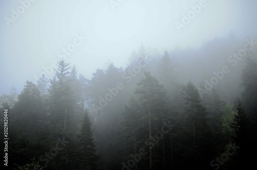 Bild auf Leinwand Austrian mountain road