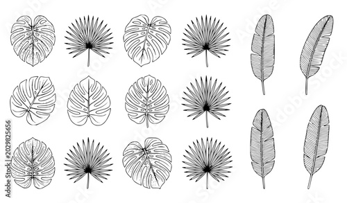 Foto Minimalist elegant tropical leaves seamless pattern vector set with intricate li