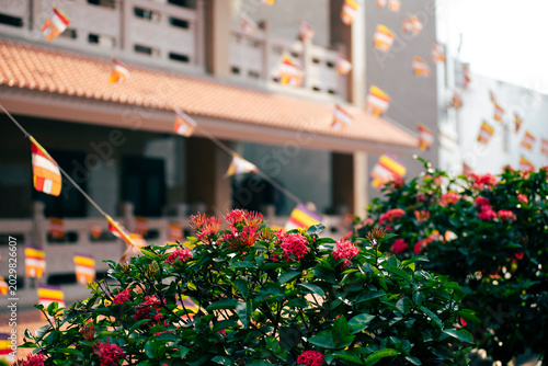 Canvastavla Vibrant red Ixora flowers blooming in front of a traditional Buddhist temple dec
