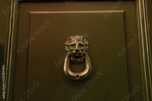 Antique metal door handle with lion motif close up on a classic entrance door.