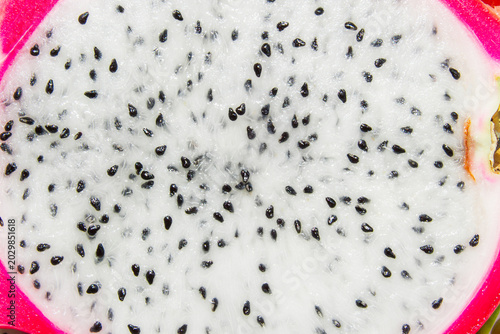 Dragon Fruit Flesh Close Up Texture with Seeds Macro Background