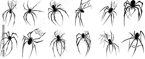 Cuadro en lienzo Black Spider and Cobweb Silhouette Vector Icon Set