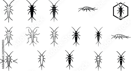 Bild auf Leinwand Silverfish Insect Silhouette Icon Set for Pest Control Services Household Bug Id