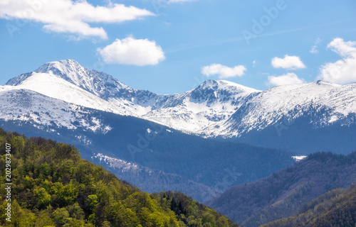Beautiful Nature Landscape with Forest, Green Meadows and Clouds
