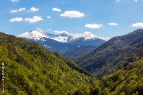 Green Mountain Panorama with Forest, Hills and Cloudy Sky