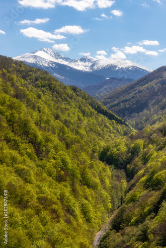 Scenic Outdoor Travel View of Snowy Mountains and Summer Sky