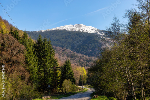 Mountain Panorama with Green Hills, Forest and Summer Sky