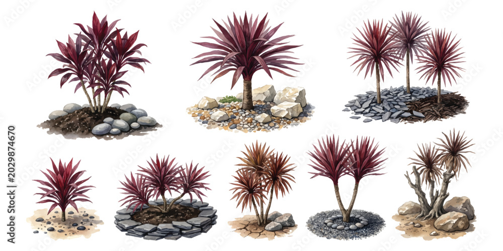 Fototapeta premium Watercolor set of red Cordyline australis cabbage tree garden landscaping elements with rocks stones and pebbles isolated on transparent background