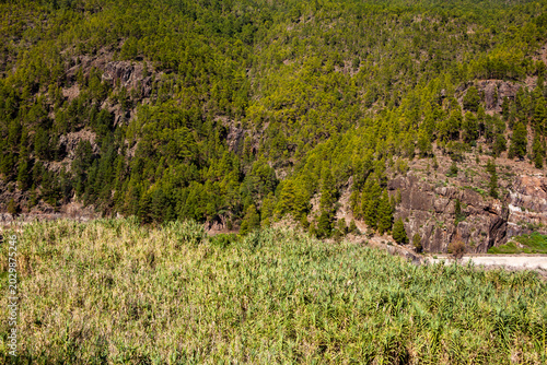 Paisaje del Barranco de la Coruña en el municipio de Artenara en la isla de Gran Canaria, España
