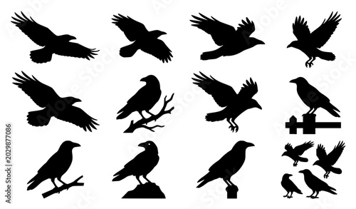 Schilderij op canvas crow silhouette, raven silhouette, black crow, crow vector, raven vector, bird s