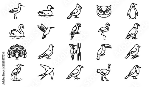 Vászonkép bird icon, bird vector, line art birds, bird outline, vector icons, bird illustr