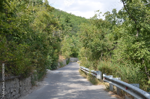 A paved winding road leading through a lush green forest park with a metal guardrail on the side. Scenic urban landscape under a blue sky, perfect for travel and city infrastructure themes