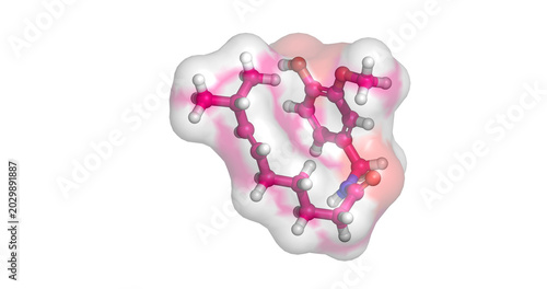 фотографія Capsaicin, chili pepper hotness chemical, TRPV1 receptor agonist and analgesic f