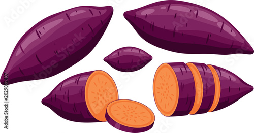 Tableau sur toile Fresh Purple Sweet Potato Vector Set Featuring Whole and Sliced Yam with Orange