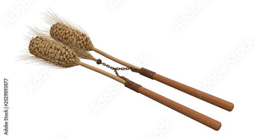 Traditional agricultural threshing flail